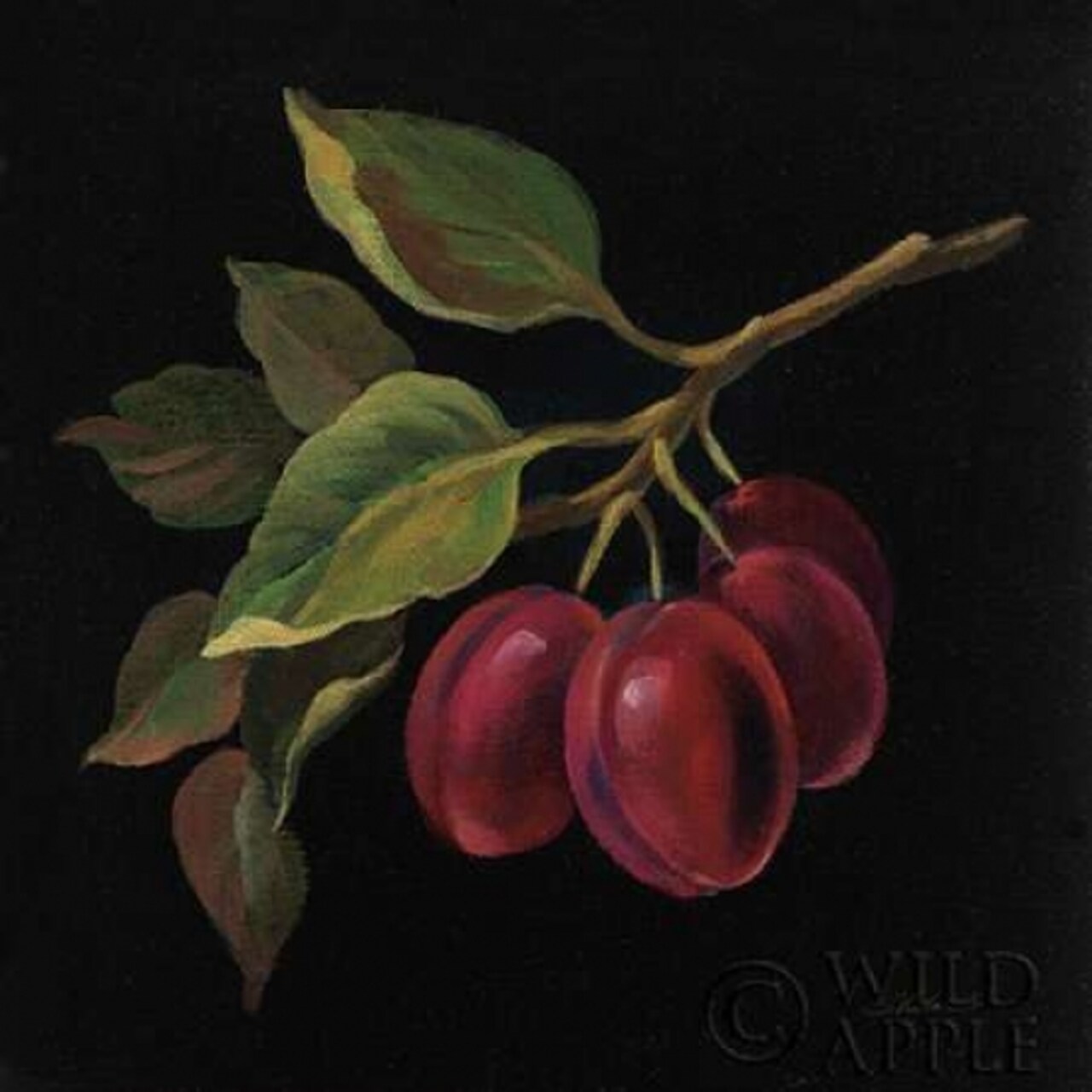 Prune no Words Poster Print by Silvia Vassileva - Item # VARPDX29206